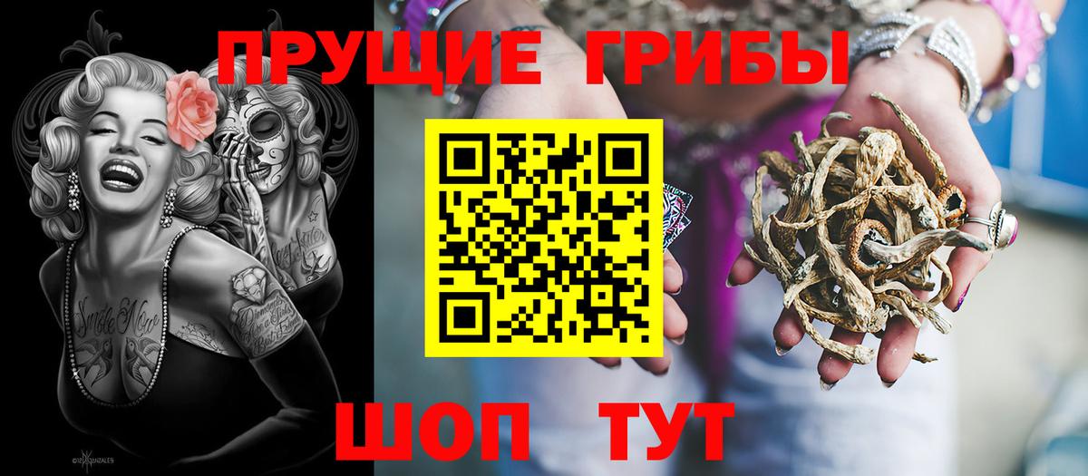 Псилоцибиновые грибы MAGIC MUSHROOMS  Галлюциногенные грибы мицелий  купить наркоту  Балаково  Вход с VPN 